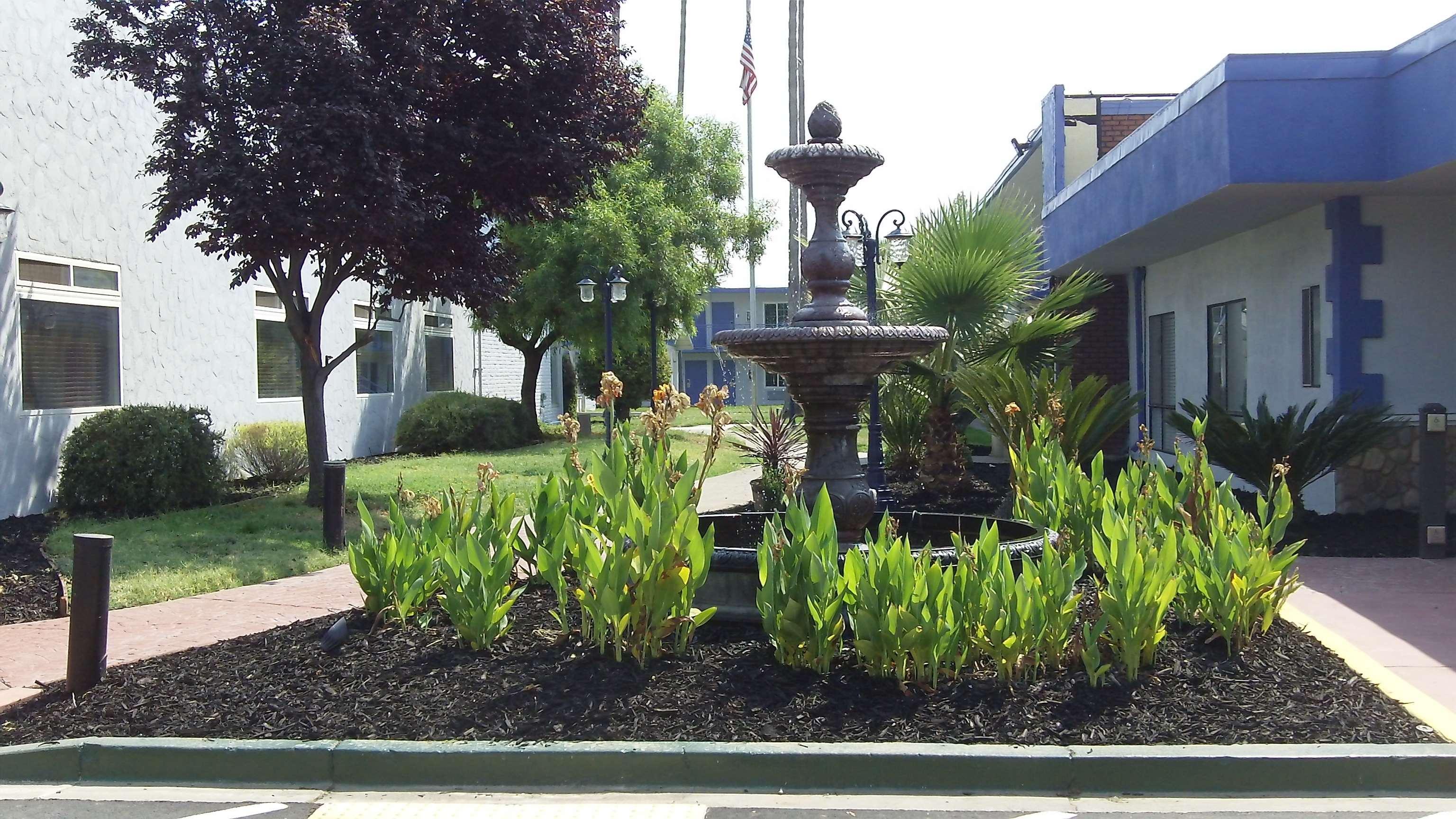 Surestay Plus Hotel By Best Western Sacramento Cal Expo Eksteriør bilde