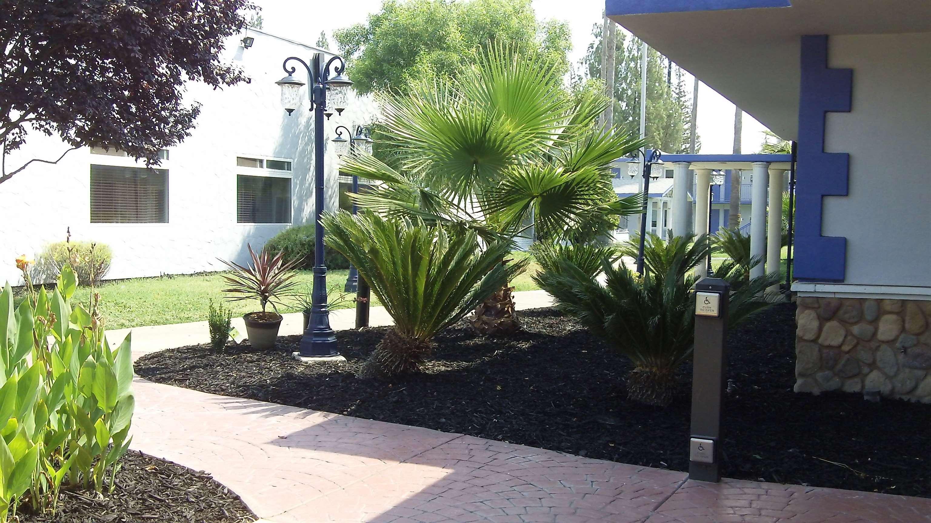 Surestay Plus Hotel By Best Western Sacramento Cal Expo Eksteriør bilde